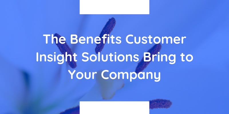 Phân tích Insights khách hàng đem lại lợi ích gì cho doanh nghiệp