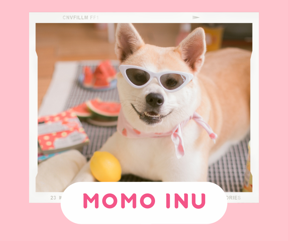 Momo Inu